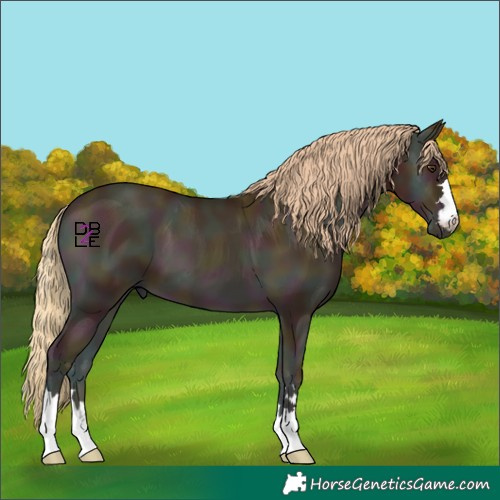 Horse Color:Midnight Gold Champagne Onyx
