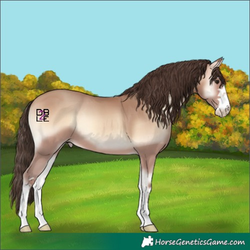 Horse Color:Amber Champagne Onyx 
