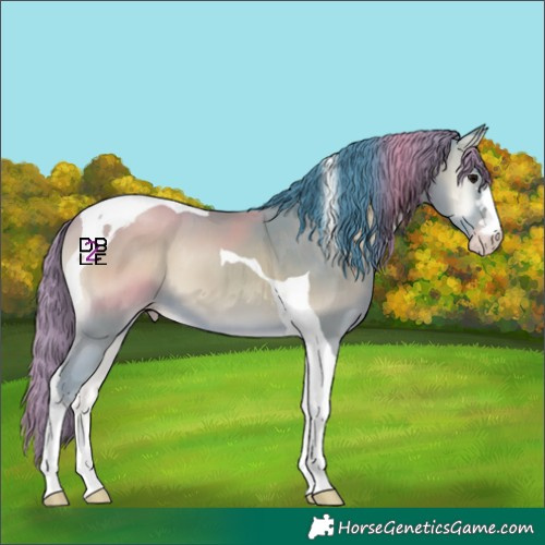 Horse Color:Watercolor Classic Champagne Onyx Tobiano