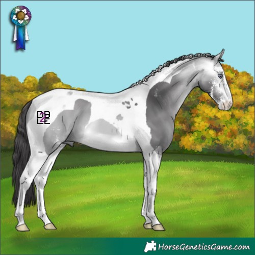Horse Color:Buckskin Chinchilla Sabino Tobiano 