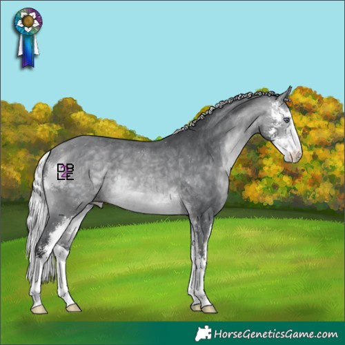 Horse Color:Silver Bay Chinchilla Sabino Appaloosa 