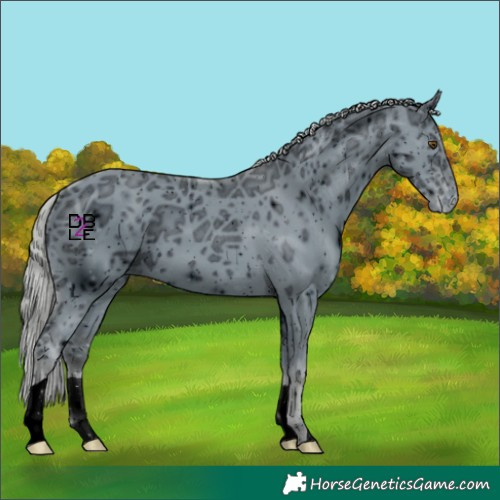 Horse Color:ERROR: UNKNOWN ANOMALY
