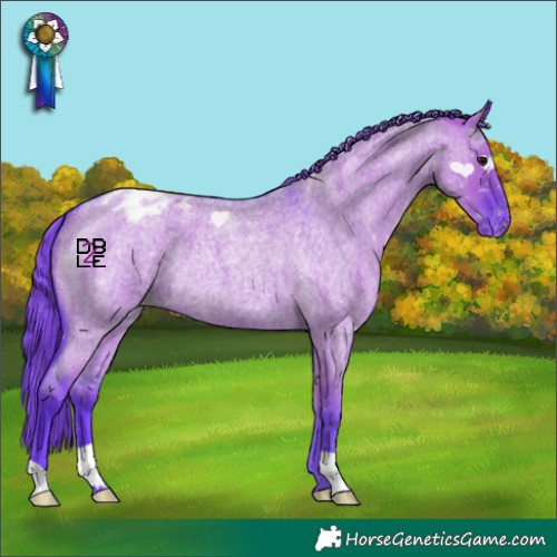 Horse Color:Watercolor Grullo Roan Appaloosa 