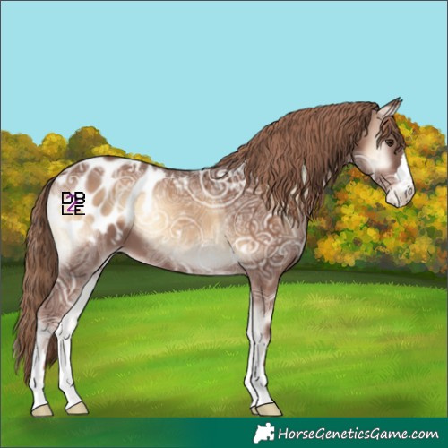 Horse Color:Red Onyx Ice Appaloosa 