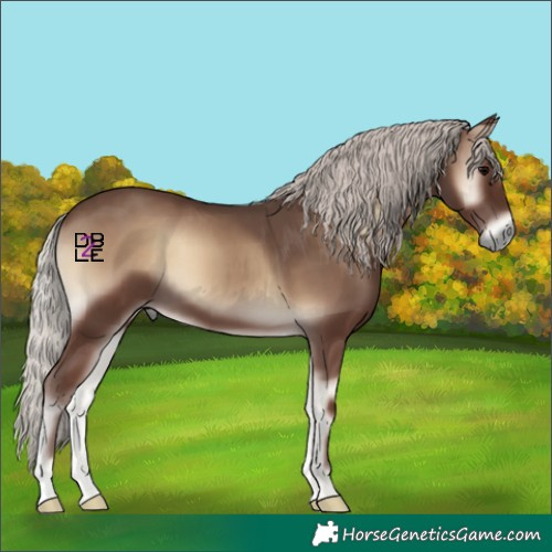 Horse Color:Silver Blue Onyx