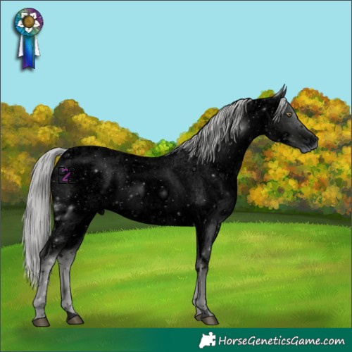 Horse Color:ERROR: UNKNOWN ANOMALY