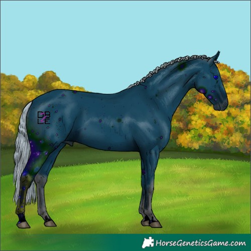 Horse Color:ERROR: UNKNOWN ANOMALY
