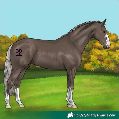 Horse Color:Silver Black