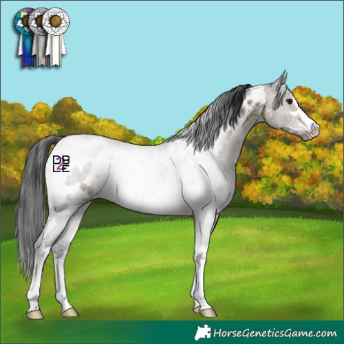 Horse Color:White Spotted Brown Dun Blanket