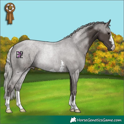 Horse Color:Silver Black
