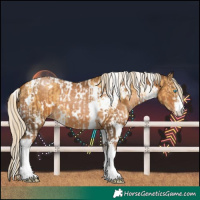 Horse Color:White Spotted Gold Champagne Dun Mushroom Tobiano  and Gray White Spotted Liver Chestnut Mushroom 