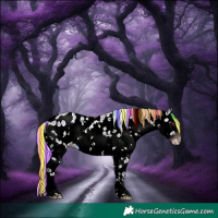 Horse Color:Gray Painted White Spotted Silver Classic Champagne Ice Roan Onyx Mushroom Splash Appaloosa Rabicano 