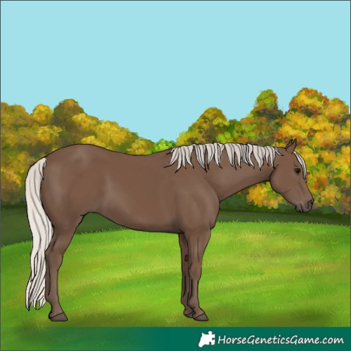 Horse Color:Silver Black