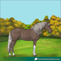 Horse Color:Silver Black Tobiano