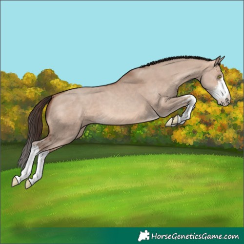 Horse Color:White Spotted Sable Champagne Dun