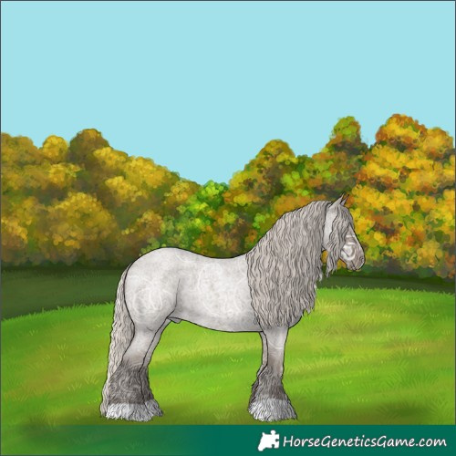 Horse Color:Silver Smoky Grullo Ice Roan