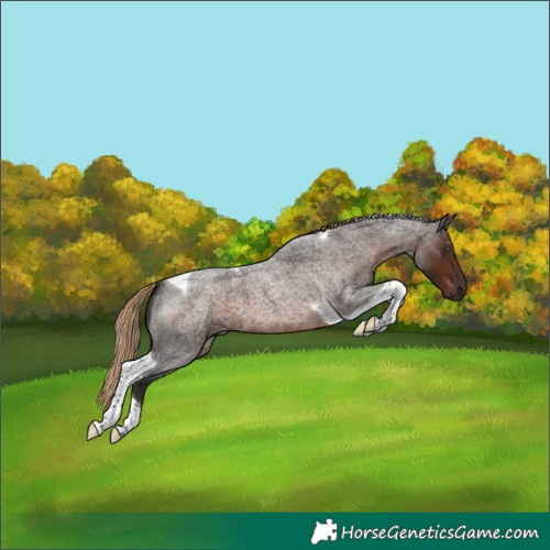 Horse Color:Liver Red Roan Tobiano