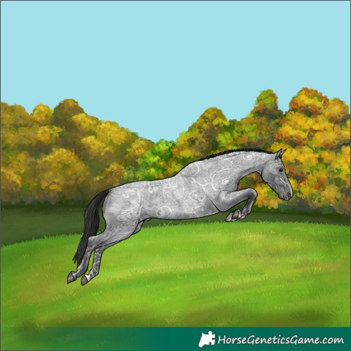 Horse Color:Blue Ice Roan 