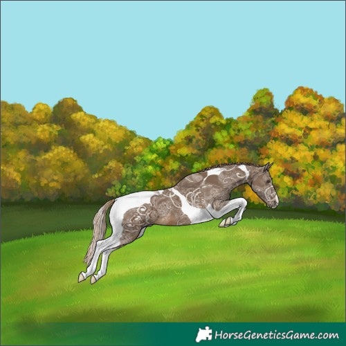 Horse Color:Chocolate Palomino Ice Tobiano 