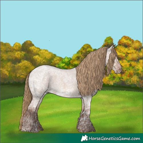 Horse Color:Red Dun Ice Roan