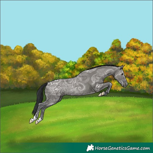 Horse Color:Grullo Ice 