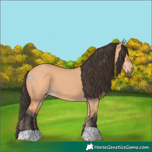 Horse Color:Bay Dun