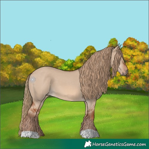 Horse Color:Red Dun
