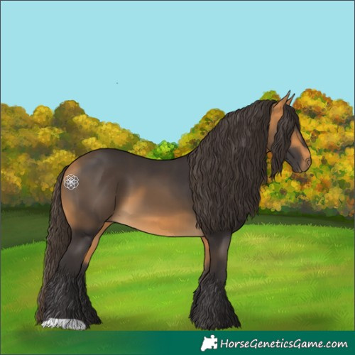 Horse Color:Buckskin 