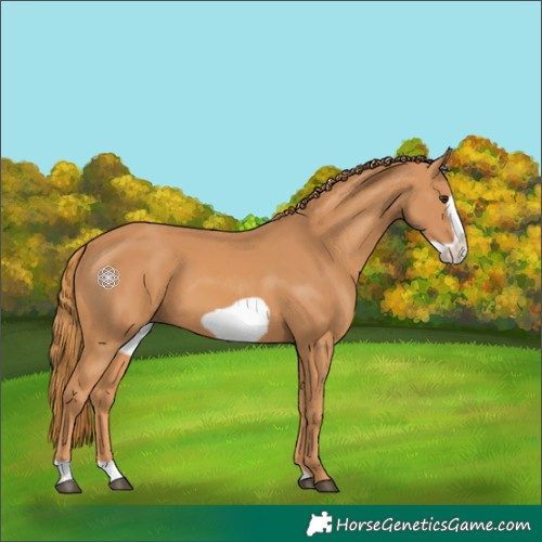 Horse Color:Chestnut Frame 