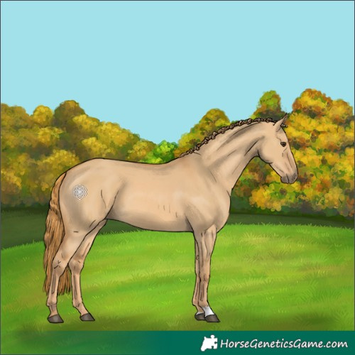 Horse Color:Red Dun 