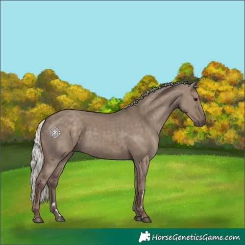 Horse Color:Silver Grullo 