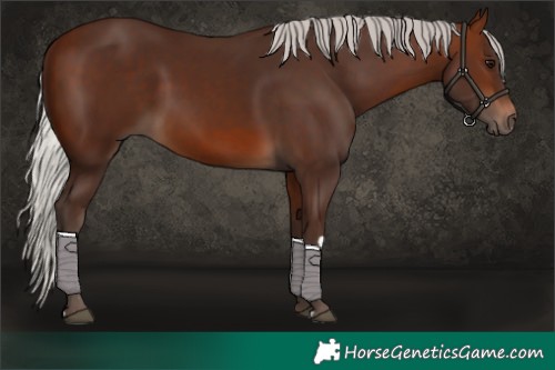 Horse Color:Silver Brown 