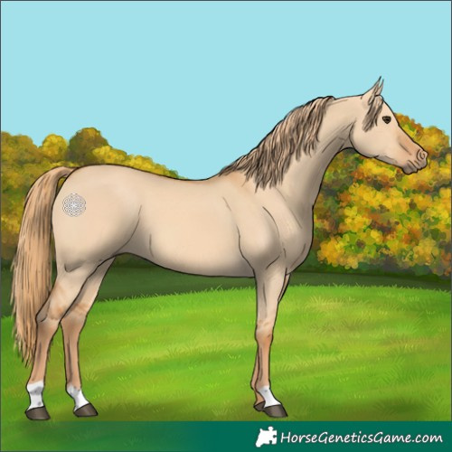 Horse Color:Red Dun