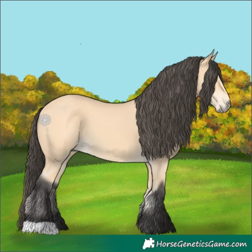 Horse Color:Buckskin