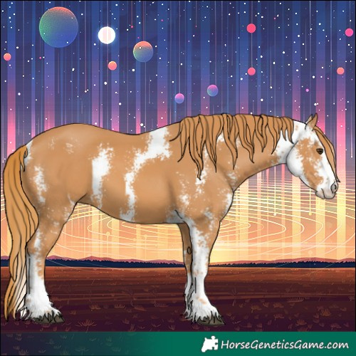 Horse Color:Chestnut Sabino