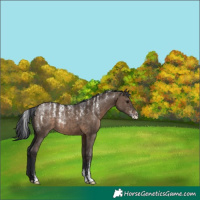 Horse Color:Powder White Brown Dun Brindle