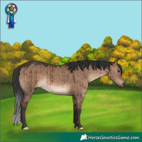 Horse Color:Brown Dun Brindle 