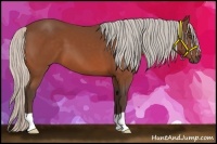 Horse Color:Silver Bay 