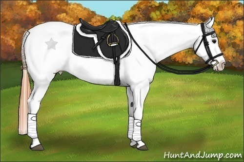 Horse Color:Buckskin Tobiano Varnish
