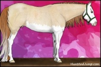 Horse Color:Red Dun Roan Splash Rabicano