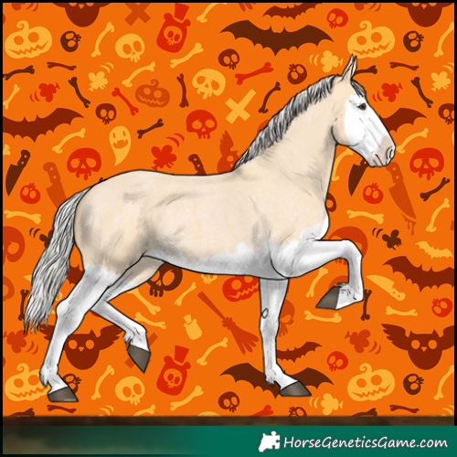 Horse Color:Silver Buckskin Roan Splash 
