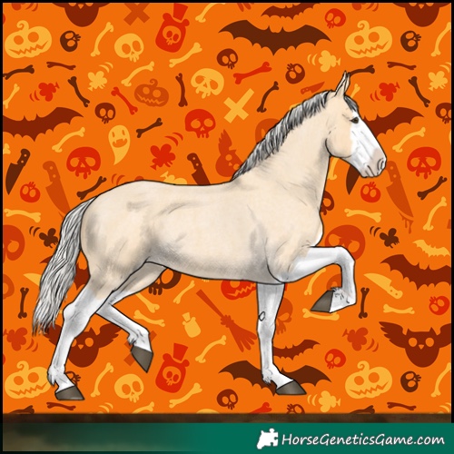 Horse Color:Silver Buckskin Roan Splash 