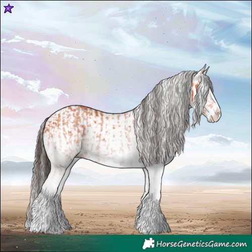 Horse Color:White Spotted Bay Splash and White Spotted Bay Splash