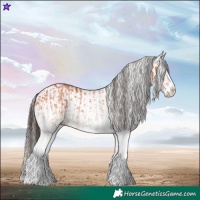 Horse Color:White Spotted Bay Splash and White Spotted Bay Splash