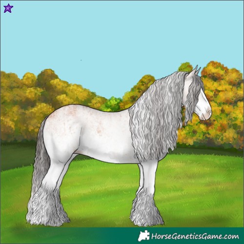 Horse Color:White Spotted Bay Splash and White Spotted Bay Splash