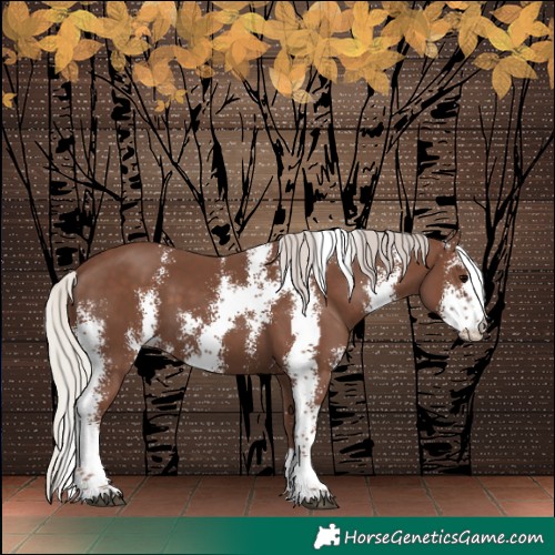 Horse Color:Silver Black Sabino 