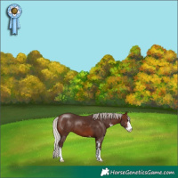 Horse Color:Silver Brown Sabino