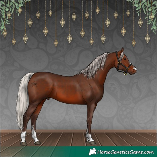 Horse Color:Silver Brown 