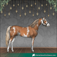 Horse Color:Chestnut Sabino 
