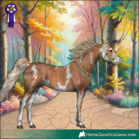 Horse Color:Chestnut Sabino 